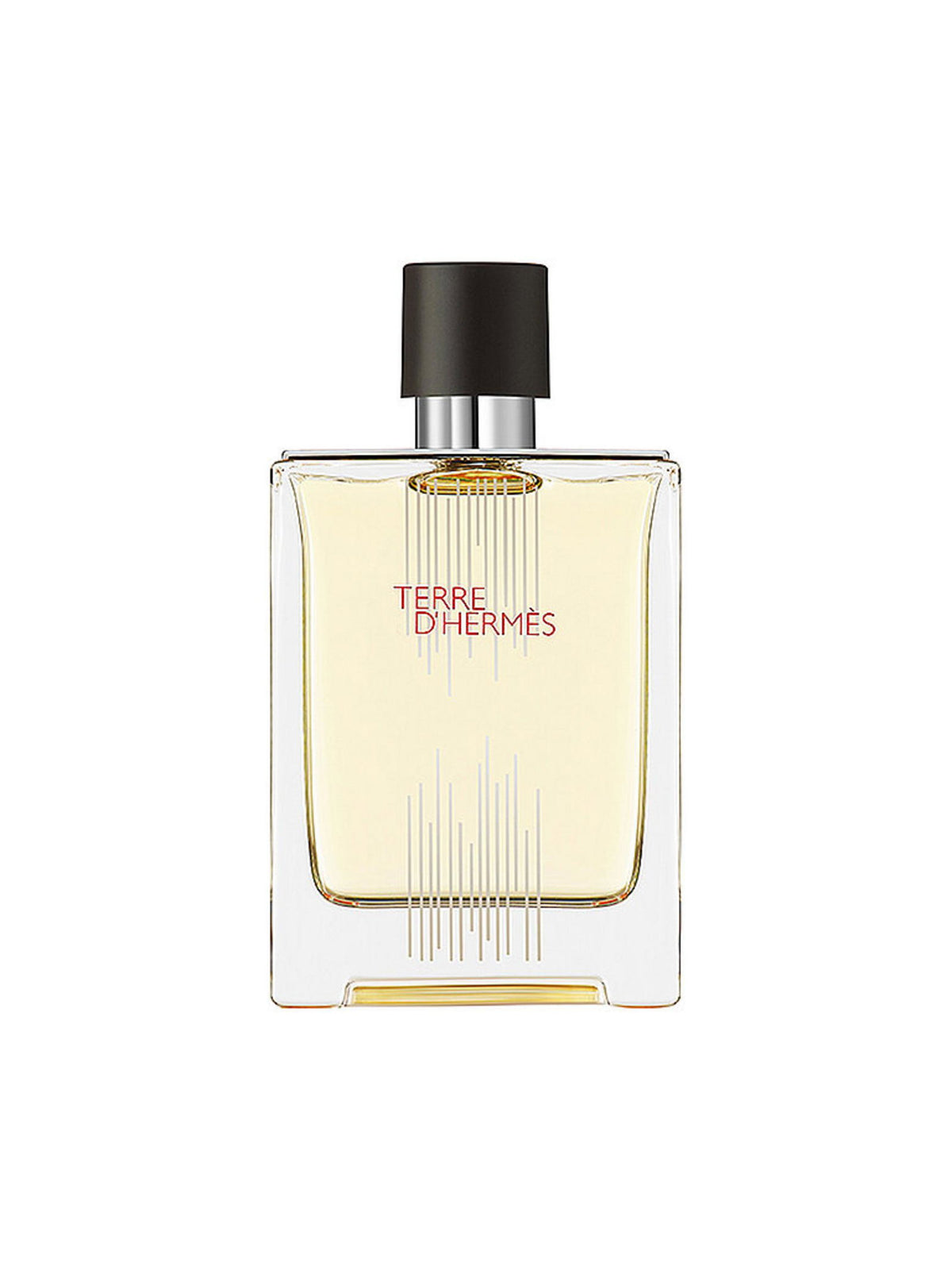 Hermes, Terre d'Hermes Flacon H piiratud väljaanne, Eau De Toilette, meestele, 100 ml