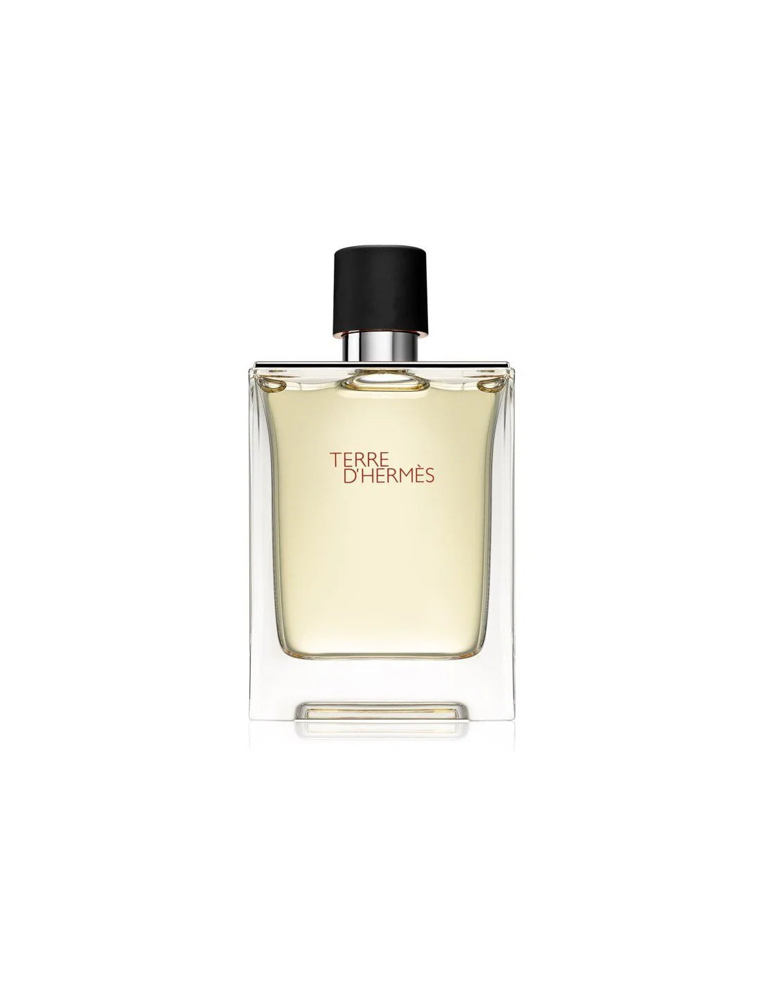 Hermes, Terre d'Hermes, Eau De Toilette, Meestele, 100 ml
