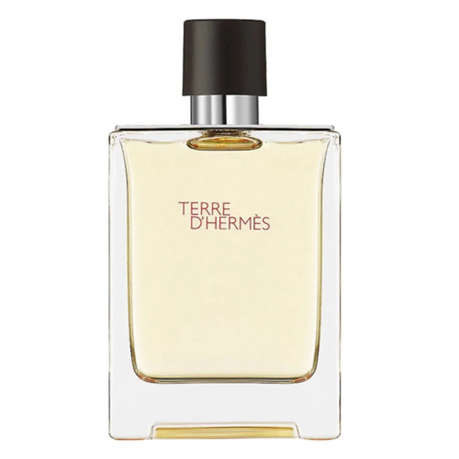 Hermes, Terre d'Hermes, Eau De Toilette, Meestele, 100 ml *Tester