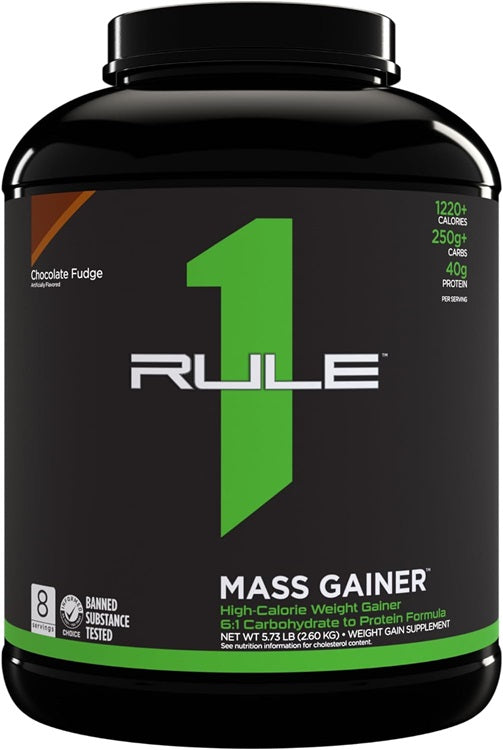 Rule One massilisaja šokolaadiglasuuriga – 2600 g