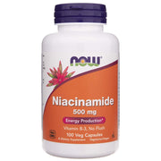 NOW FOODS niatsinamiid 500 mg – 100 kapslit