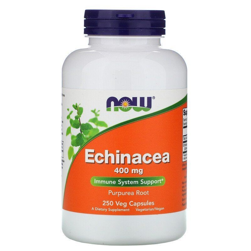 NOW FOODS ehhiaatsia 400 mg – 250 kapslit